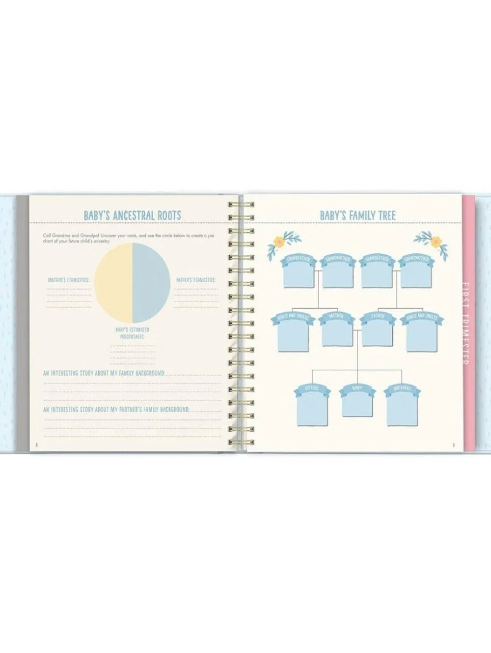 Bump for Joy! Pregnancy Journal - Blue & Pink